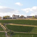 Отель Steinburg 4*
