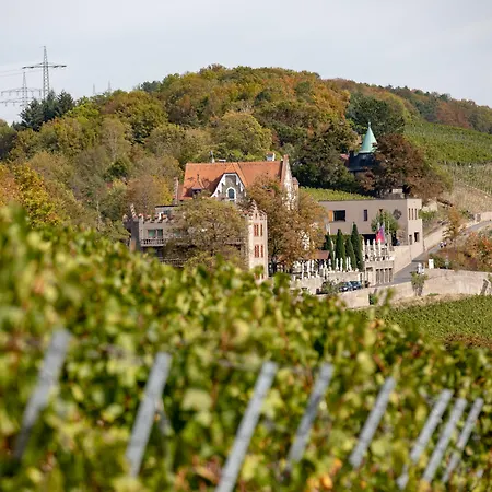 Steinburg 뷔르츠부르크