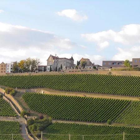 Hotel Steinburg 4*